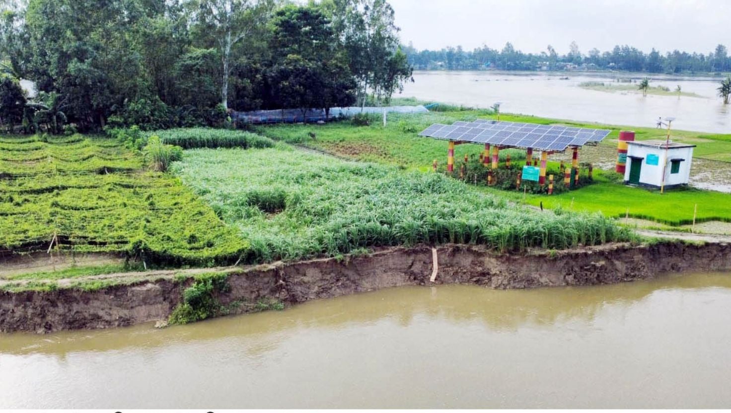 বগুড়ার শেরপুরে নদীভাঙনে বিলীন হচ্ছে ঘরবাড়ি, ফসলি জমি