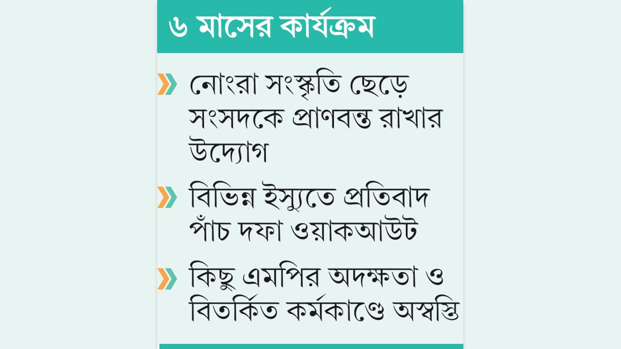 সংসদ ও রাজপথে সোচ্চার থাকার চেষ্টায় বিরোধী দল