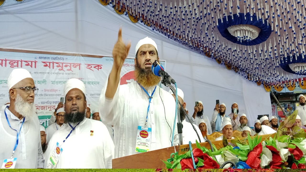 সরকার পতন চাইনা, আমরা চাই সরকার যেন ফ্যাসিবাদ না হয়ে উঠে: মামুনুল হক

