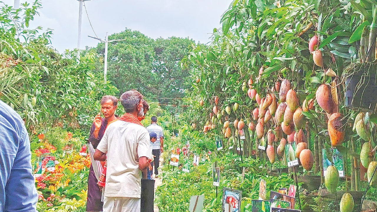 সবুজ-আহ্বানে-বৃক্ষ-মেলায়-৩