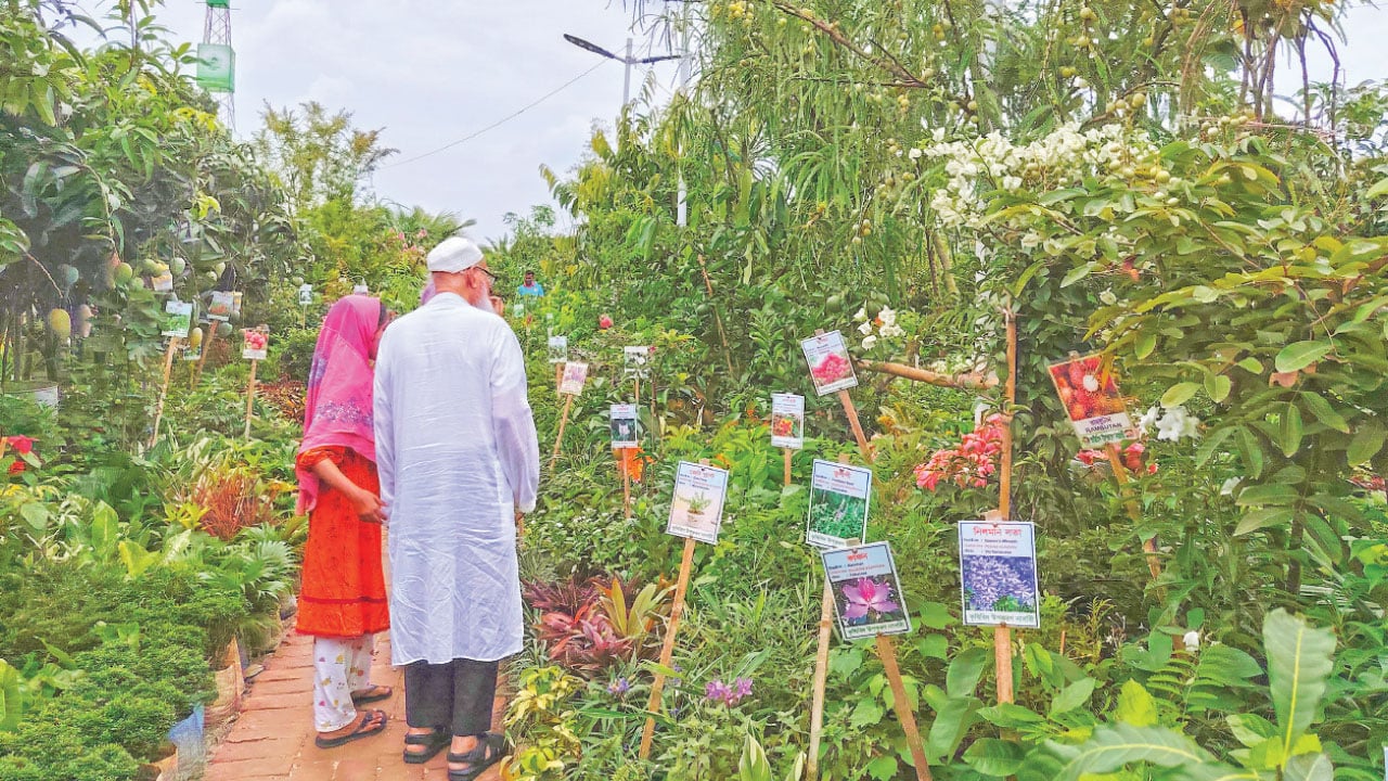 সবুজ-আহ্বানে-বৃক্ষ-মেলায়-২
