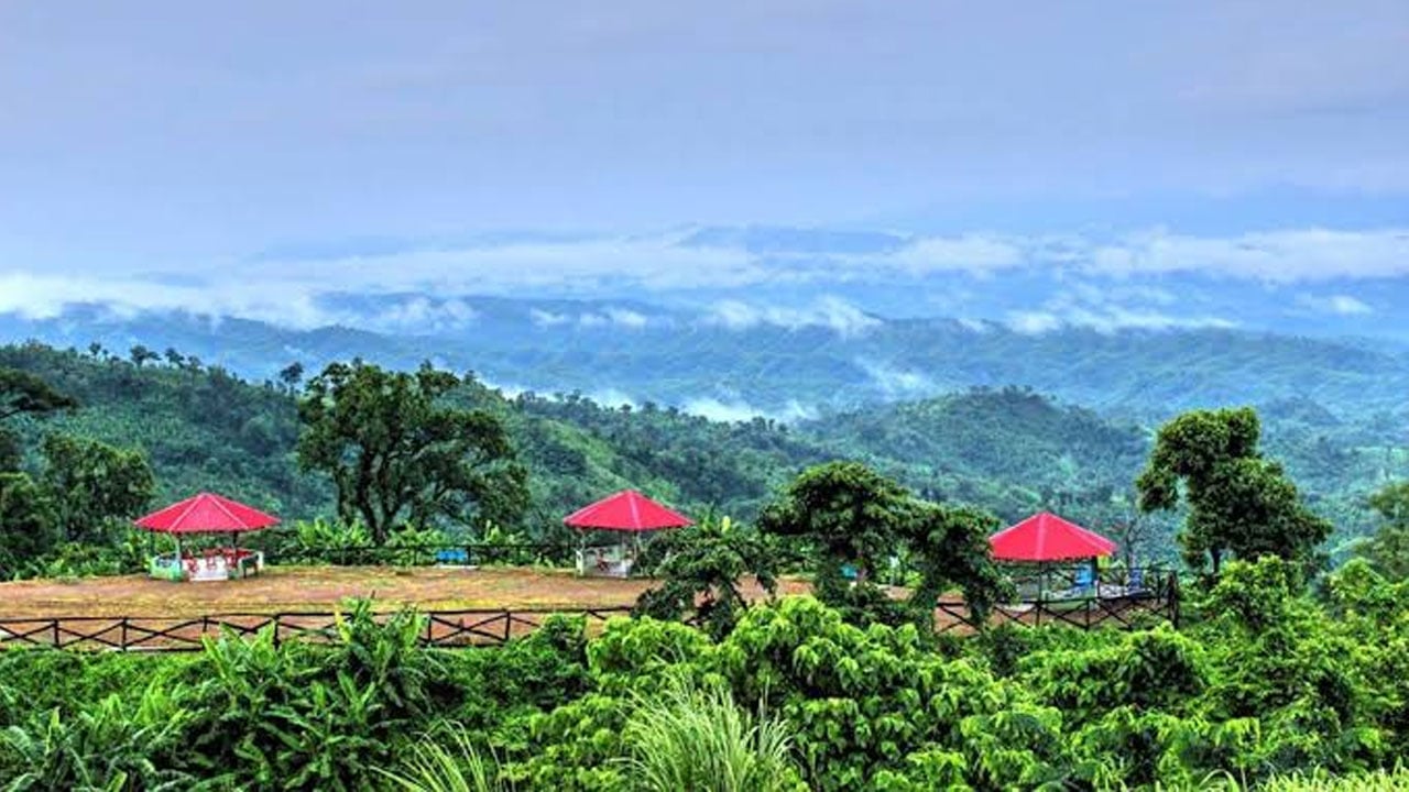 সম্ভাবনা-থাকলেও-বিকাশ-ঘটেনি