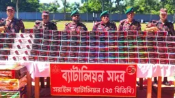 বিজিবির অভিযানে ১২ কোটি টাকার ভারতীয় মোবাইল ডিসপ্লে জব্দ