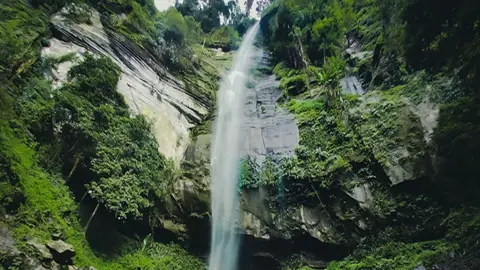 আলীকদমের বুনো সৌন্দর্যের নাম সাইংপ্রা ঝর্ণা