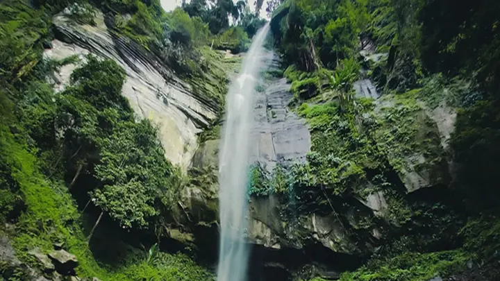 আলীকদমের বুনো সৌন্দর্যের নাম সাইংপ্রা ঝর্ণা