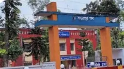 কুকুরের কামড়ে শিশুর মৃত্যু