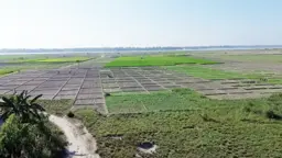 সরকারি গুদামে সার, চরে চরে হাহাকার
