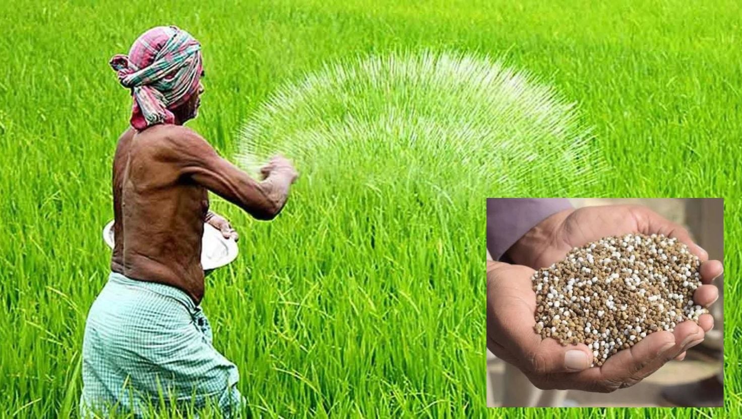 শেরপুরে সরকারি দামে মিলছে না সার