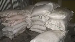 আ.লীগ নেতার গোডাউন থেকে সার জব্দ
