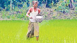 সারের বস্তা থেকে ‘গুপ্ত’র সতর্কবার্তা