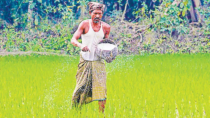 সারের বস্তা থেকে ‘গুপ্ত’র সতর্কবার্তা