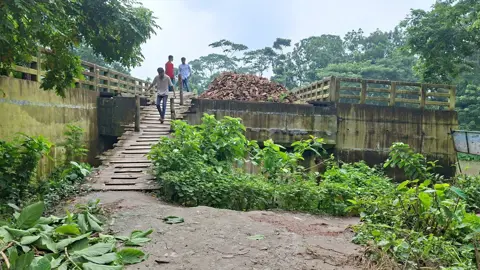 জমি বিরোধে আটকে আছে উজিরপুরের ধামুরা-শোলক সেতু
