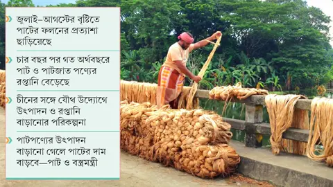 সোনালি আঁশে নতুন সম্ভাবনা, কৃষকের চাওয়া ন্যায্যমূল্য