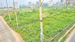 ২৯ বছরেও শেষ হয়নি প্রকল্প, ঝুলে আছে ১৩ হাজার ফ্ল্যাট
