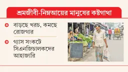 ‘কম খাইয়াও তো চলতে পারতাছি না’